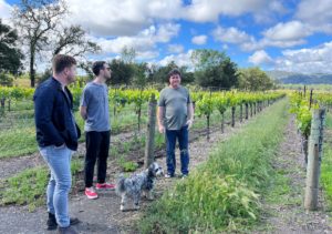 Vineyard Tour at Alexander Valley Vineyards