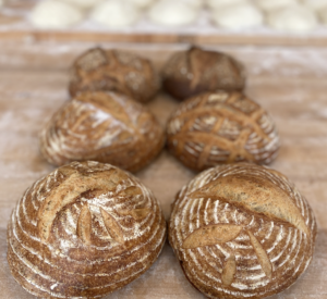 Sourdough Boules from Rosemont Market & Bakery
