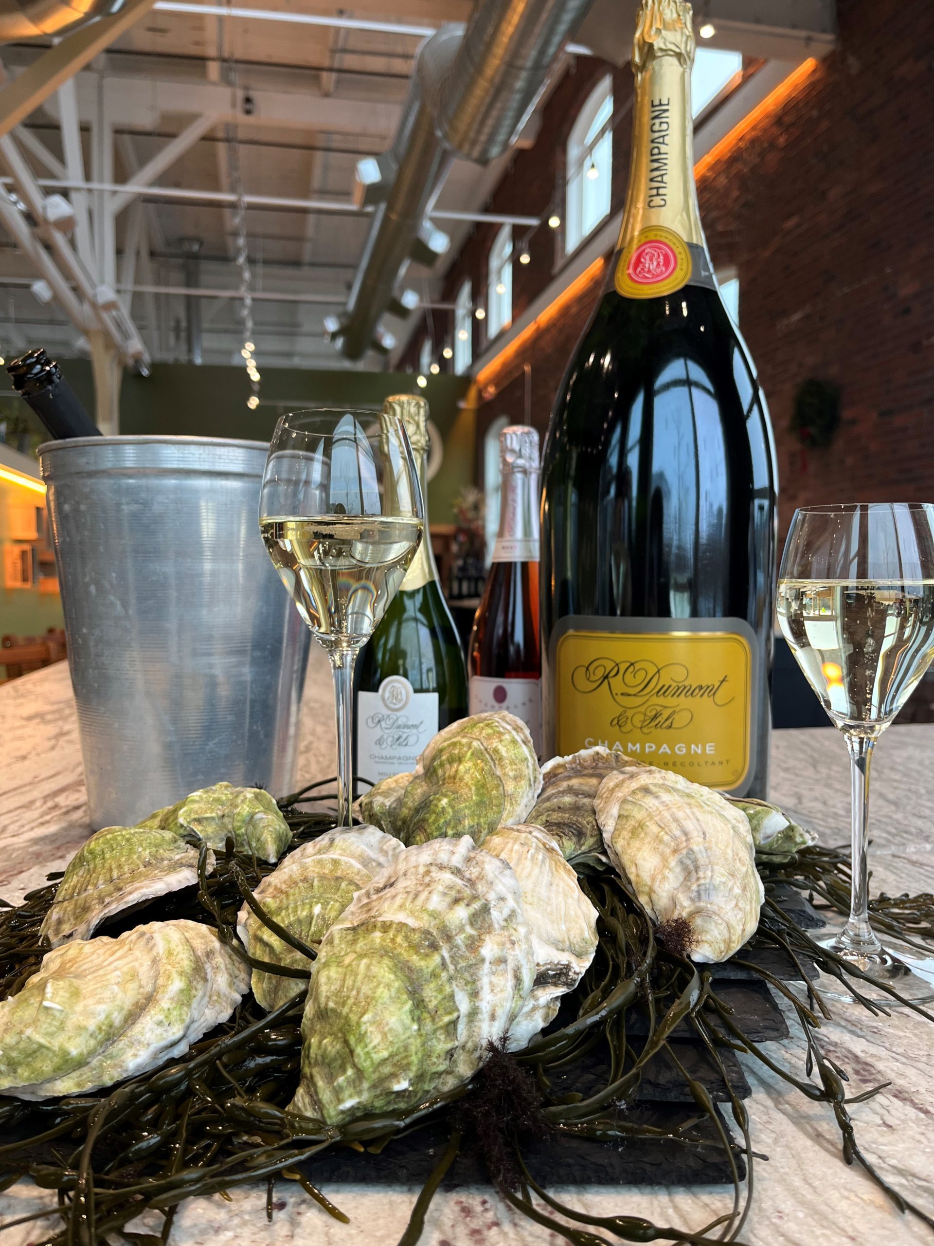 oysters and champagne at Rosemont Wine Bar
