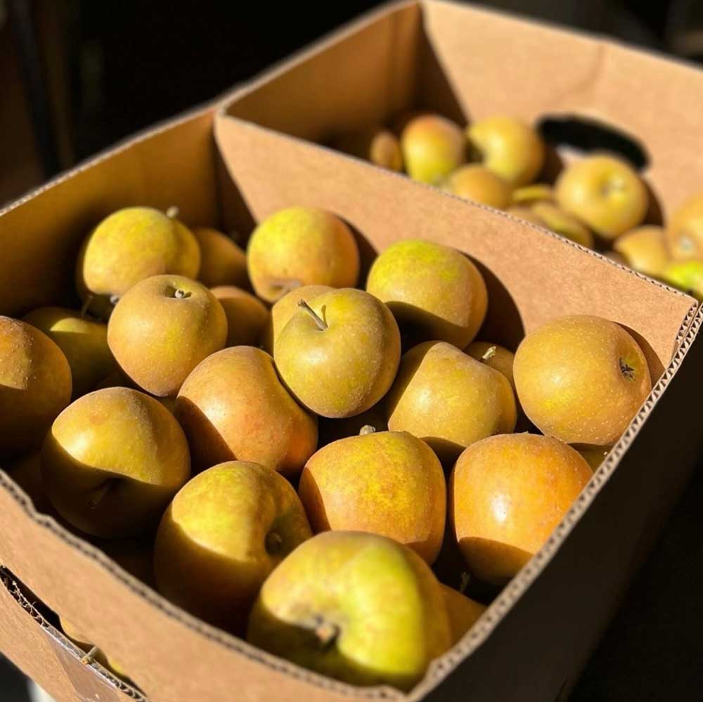 Ashmead’s Kernel Apples