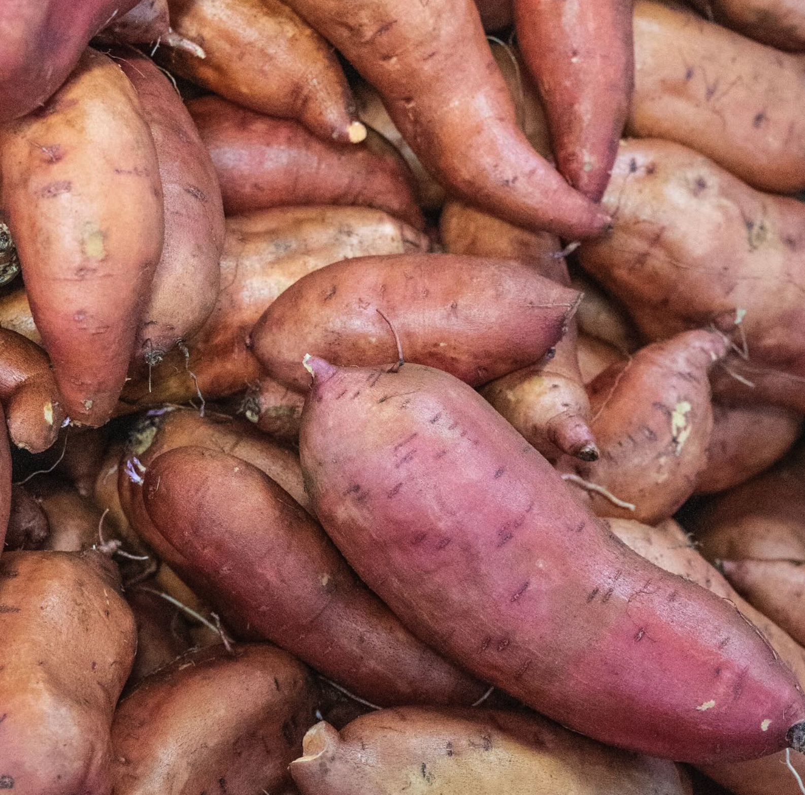 Tip for the Fluffiest Sweet Potato