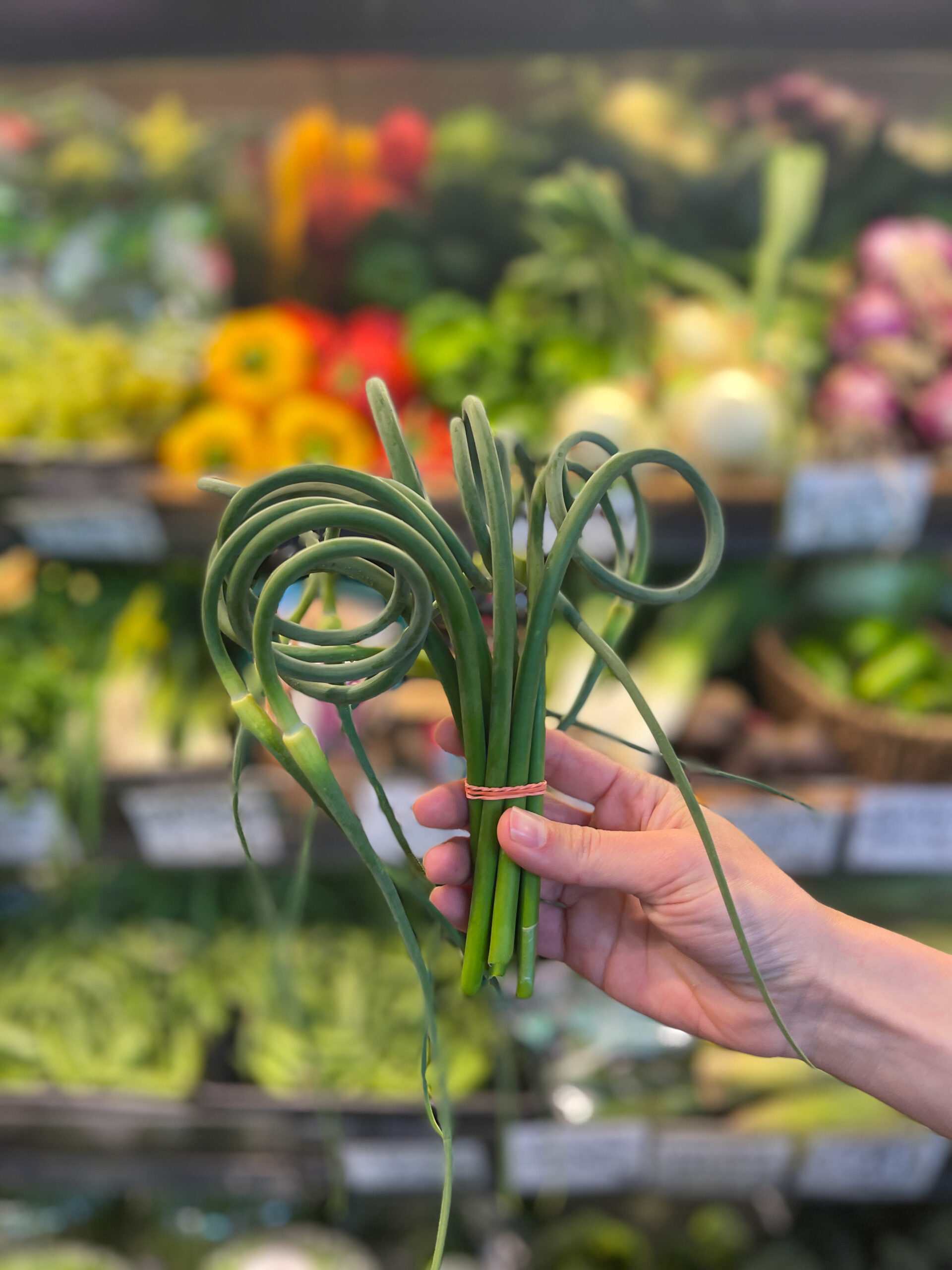 Garlic Scape Pesto